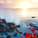 Joanna 🦄 周娜 头像