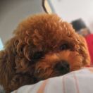 你的微笑很美~ 头像