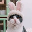 SheilaPie🍦 头像