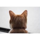 请叫我马战神 头像