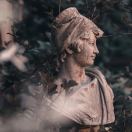 小菲Holiday 头像