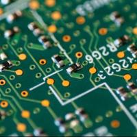 呆呆可达鸭 头像