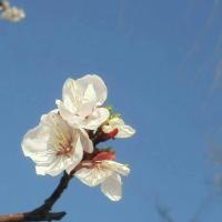 小鱼~小鱼 头像