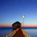 明天，争取 头像