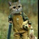 中医领头羊 头像