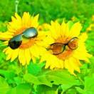 阴帆超律师 头像