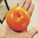 只许州官放🔥 头像