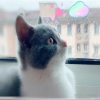 出门变浪人 头像