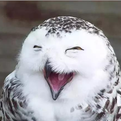 侯岗建 ོ 头像