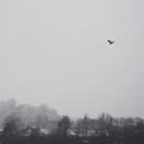 努力努力再努力m 头像