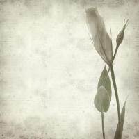 丨丨丨丨丨丨丨丨 头像