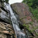 坏笑达芬奇 头像