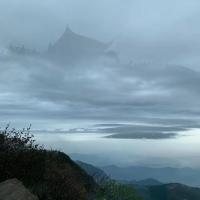 心无杂念，忘我兼忘世 头像