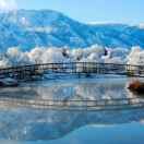 当微风吹过 头像