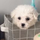 粗腿软妹i 头像