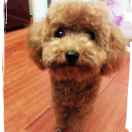 *^_^*财财（帅帅） 头像