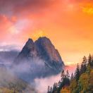 无所畏惧与宽容 头像