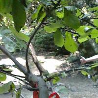 arvin_13167066 头像