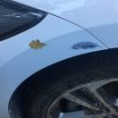  文博 头像