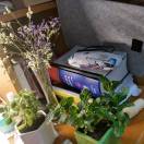 Grace-潘梦嫣 头像