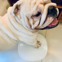 bulijojodiblido 头像