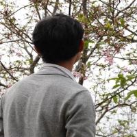 chenjian198819 头像