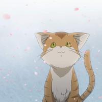 北方南方某个远方 头像