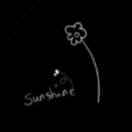 mysunshine__sean 头像