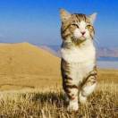 梁云龙-Darren专注项目执行 头像