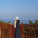 范苏仪Lynn 头像