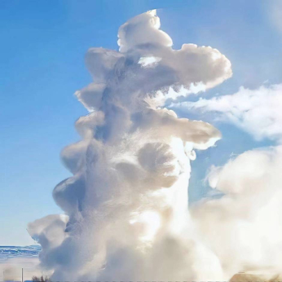 爱玉宝宝的咸鱼 头像