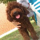 🌙二月🌙 头像