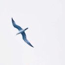 sunxiangxiang 头像