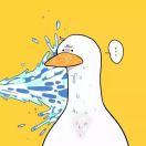 你午睡了嘛 头像