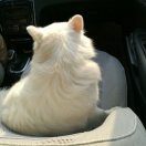 瓶子里有鬼❤️🐒 头像