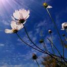 十夕爱读书 头像