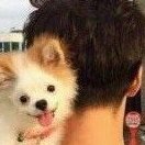 白程序员的自习室 头像