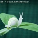 蜗牛也是牛 头像