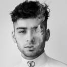 樊伟(反对派) 头像