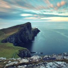 🐵饲养员 头像