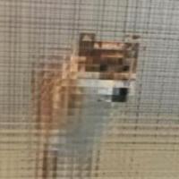 江北刘海涛 头像