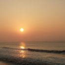 梦中的贝壳 头像