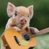 黑暗.骑士 头像