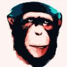 mdmaodun ࿐    _ 头像