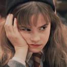 番茄炒蛋. 头像