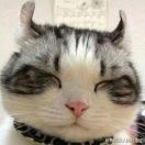 泥水小超超 头像