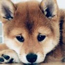 thatsfucool🤗 头像