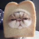 起个名字好难 头像