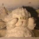 爱吃片皮鸭的大脑斧 头像