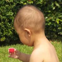 去去吃翔吧少年 头像